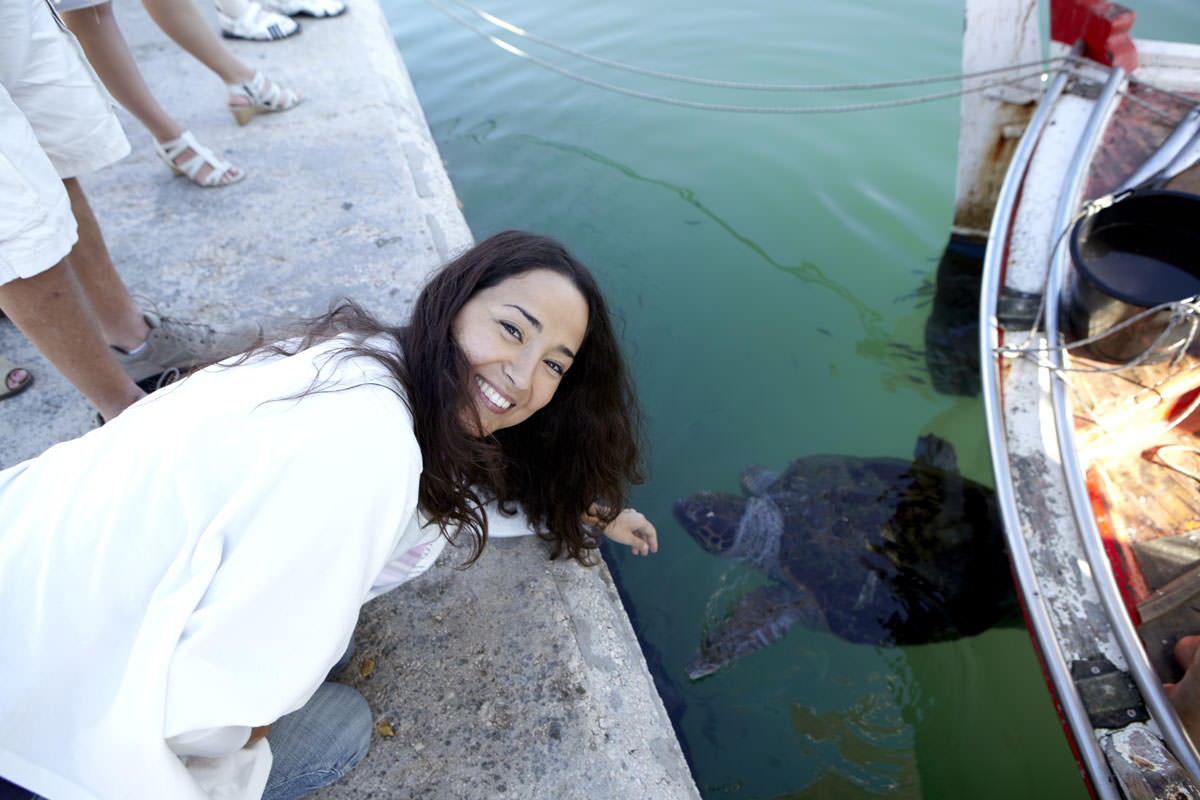 Mouikis Hotel - Location, Sea turtles